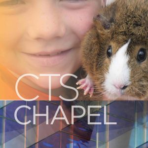 CTS Chapel - St. Francis Pet Blessing